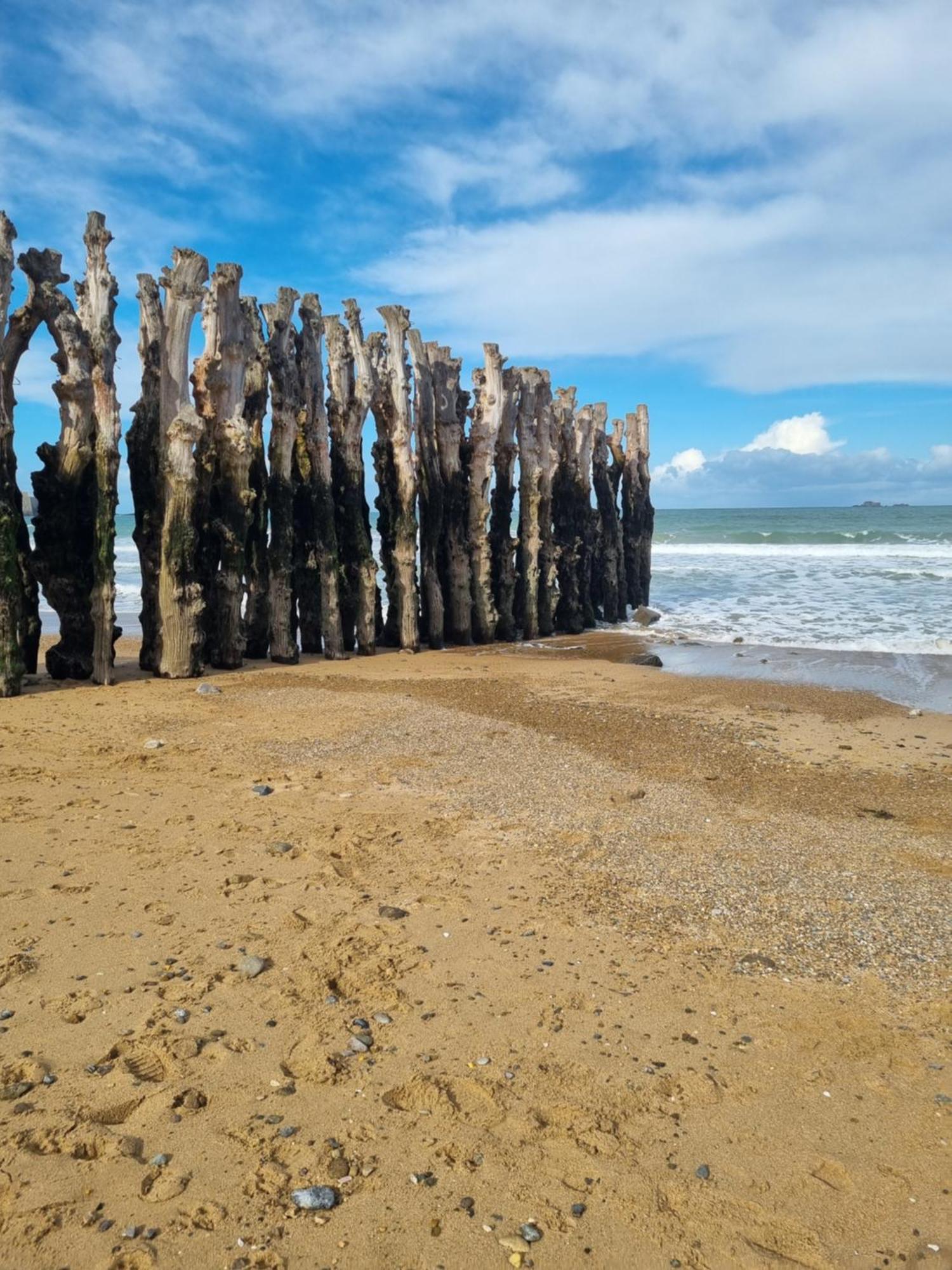 Le Mistral Du Centre Ville ,Chaleureux A 2 Min De La Plage ディナール エクステリア 写真