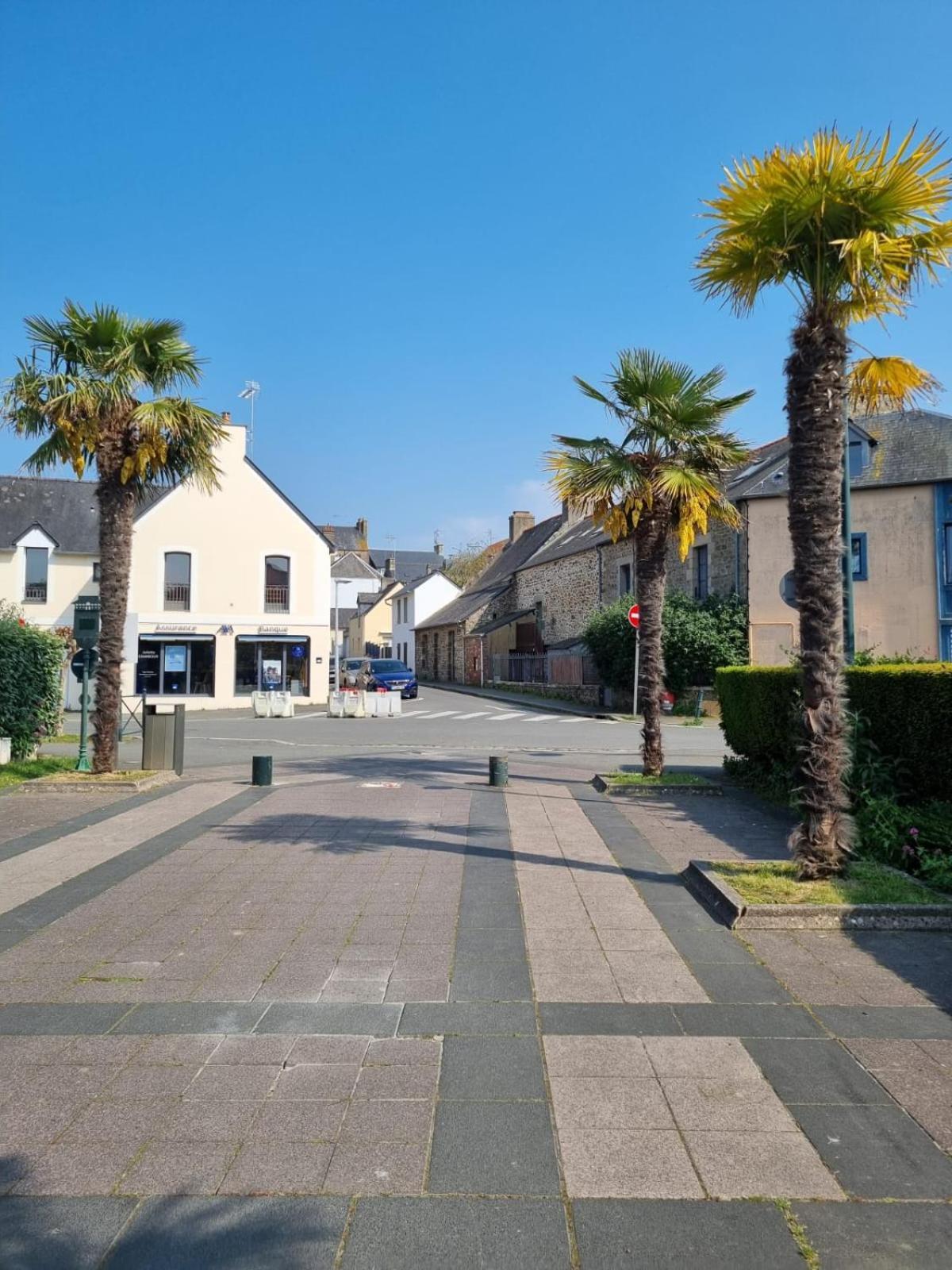 Le Mistral Du Centre Ville ,Chaleureux A 2 Min De La Plage ディナール エクステリア 写真